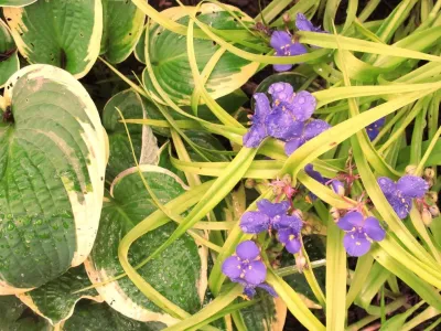 London Landscapes LLC - Garden Remodeling in Bethesda, MD