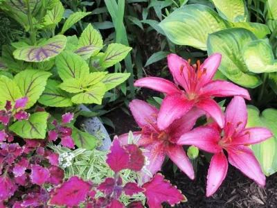 London Landscapes LLC - Garden Remodeling in Bethesda, MD
