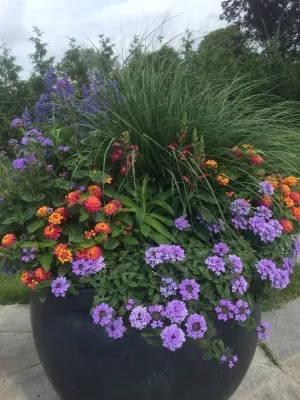 Longmeadow Landscape Design & Maintenance, Inc. - Garden Remodeling in Mattituck, NY