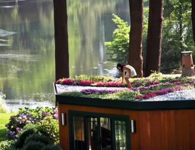 Grey Goose Pond — Landscape Design project by Louis Fusco Landscape Architects in Greenwich