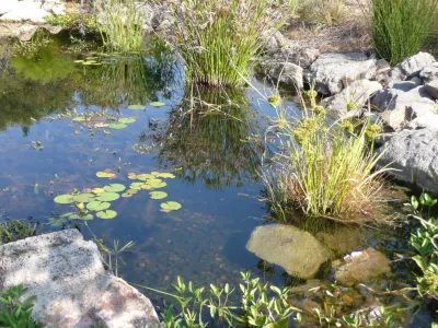 Louise Leff Landscape - Landscape Construction in Petaluma, CA