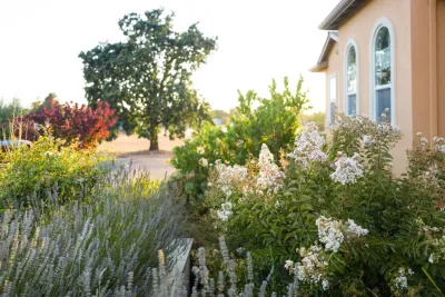 Louise Leff Landscape - Landscape Construction in Petaluma, CA