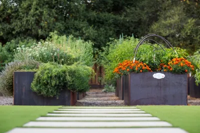 Louise Leff Landscape - Landscape Construction in Petaluma, CA