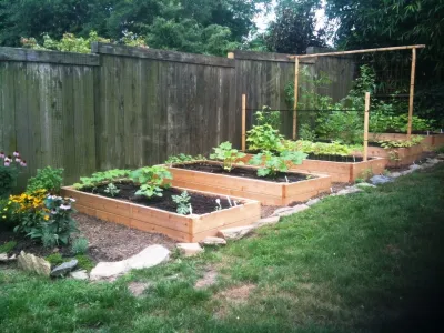 Love & Carrots - Landscape Design in Washington, 