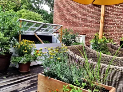 Love & Carrots - Landscape Design in Washington, 
