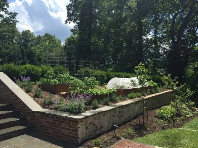 Love & Carrots - Landscape Design in Washington, 