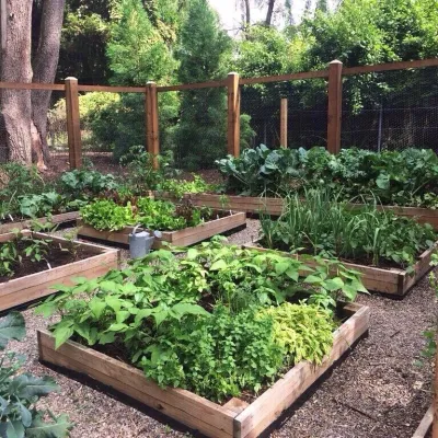 Love & Carrots - Landscape Design in Washington, 