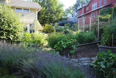 Love & Carrots - Landscape Design in Washington, 