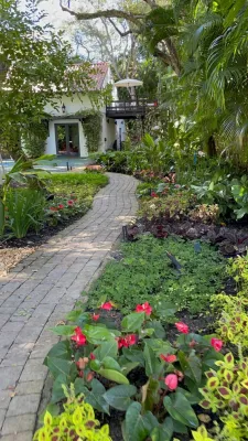 CASA V — Landscape Design project by Aveille Landscape in Coral Gables
