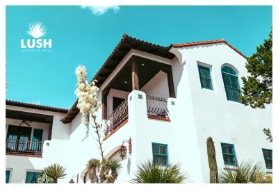 Mission Trail — Landscape Design project by LUSH GreenScape Design in New Braunfels