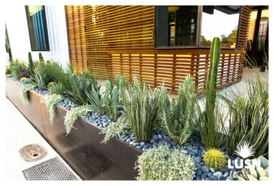 Muck & Fuss Craft Beer & Burger Bar — Landscape Design project by LUSH GreenScape Design in New Braunfels
