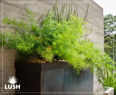 LUSH GreenScape Design - Garden Remodeling in New Braunfels, TX
