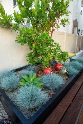 Lux landscape design - Landscape Construction in San Marcos, CA