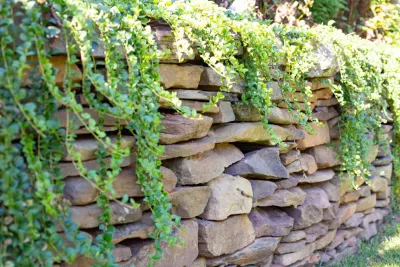 Stone Wall — Landscape Design project by Lynchburg Landscapes, Inc.