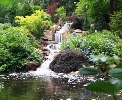Lyon Landscape Architects - Patio Design & Installation in Kirkland, WA