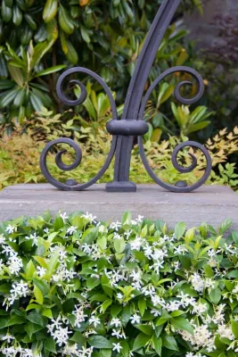 Landscape Details — Landscape Design project by M. M. Moore Construction Company, Inc.