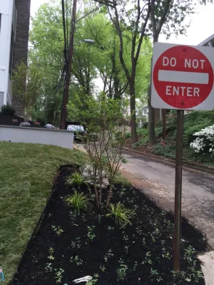 Creating curb appeal — Landscape Design project by MA Cleaning & Landscaping Design Inc