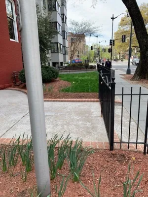 MA Cleaning & Landscaping Design Inc - Garden Remodeling in Silver Spring, MD