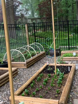 Greenhouse Garden — Landscape Design project by MA Cleaning & Landscaping Design Inc in Silver Spring