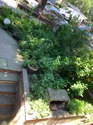 MA Cleaning & Landscaping Design Inc - Garden Remodeling in Silver Spring, MD