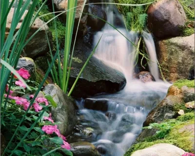 Across the Pond Aquascapes - Landscape Design in Doylestown, PA