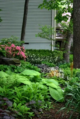 Woodland garden by Magee Design