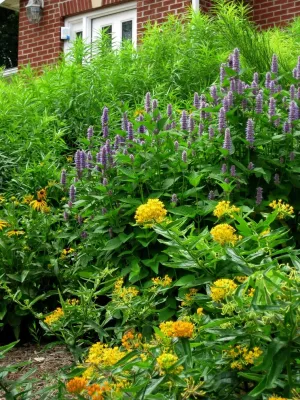 Native landscape by Magee Design