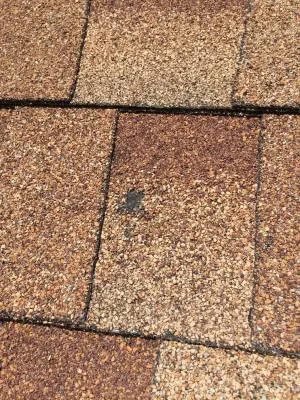 Southern Brazoria County Hail Storm - April 2015 by JC Remodeling & Restoration, LLC