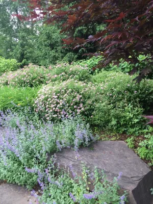 Magic Landscaping, Inc. - Garden Remodeling in Allendale, NJ