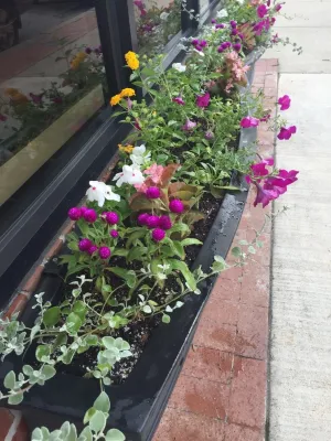 Amy's Garden Design - Garden Remodeling in Catonsville, MD