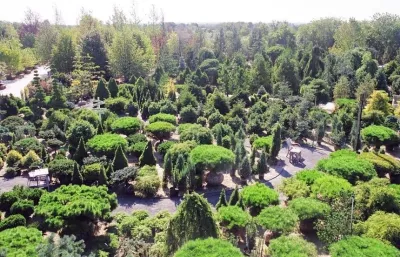 Marders - Landscape Maintenance in Bridgehampton, NY