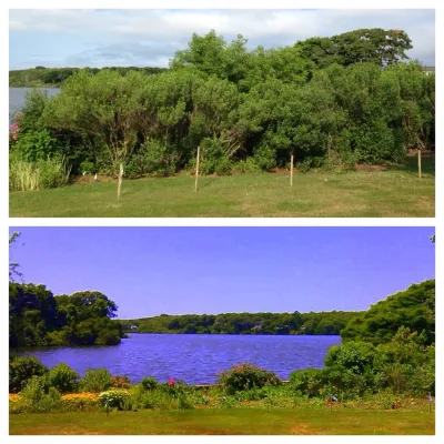 Maria Hickey & Associates Landscapes - Garden Remodeling in Falmouth, MA