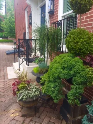 Amy's Garden Design - Garden Remodeling in Catonsville, MD