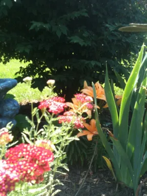 Amy's Garden Design - Garden Remodeling in Catonsville, MD