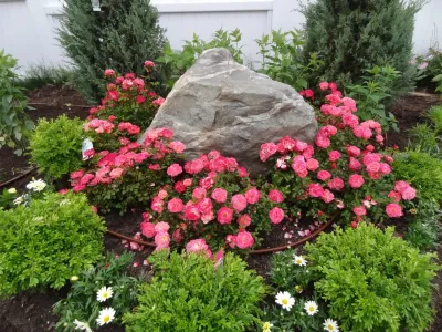 Maria Hickey & Associates Landscapes - Garden Remodeling in Falmouth, MA