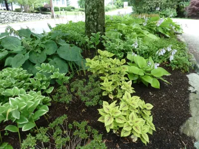 Carlisle Center Park — Landscape Design project by Maria Von Brincken Landscape Garden Design