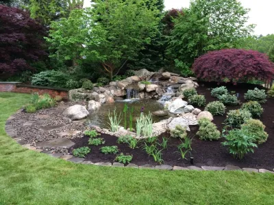 Water Gardens: Pond & Waterfall for Birds & Fish — Landscape Design project by Maria Von Brincken Landscape Garden Design