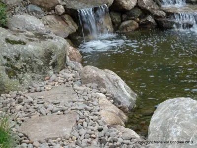 Spring Bloom Flowering Landscape and a new Pond with Waterfalls — Landscape Design project by Maria Von Brincken Landscape Garden Design