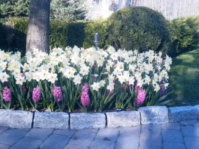 Mark D. Levy Horticultural Services - Irrigation System Repair in White Plains, NY