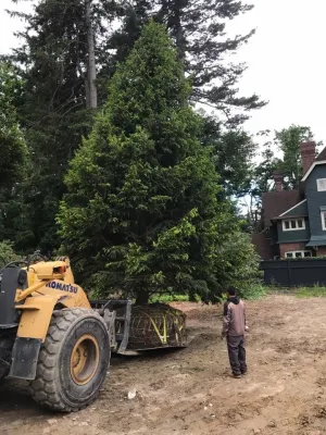 Mark D. Levy Horticultural Services - Irrigation System Repair in White Plains, NY