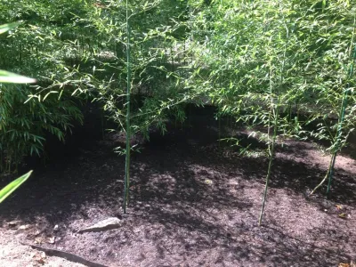 Mark D. Levy Horticultural Services - Irrigation System Repair in White Plains, NY