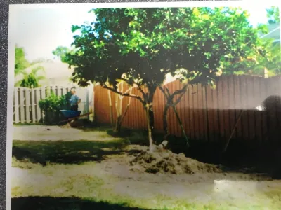 Mark Herman & Associates, Inc - Outdoor Lighting Installation in Sarasota, FL