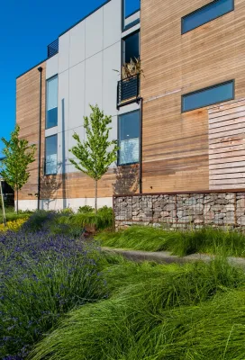 Magnolia Modern — Landscape Design project by Mark S. Garff, Landscape Architect in Seattle