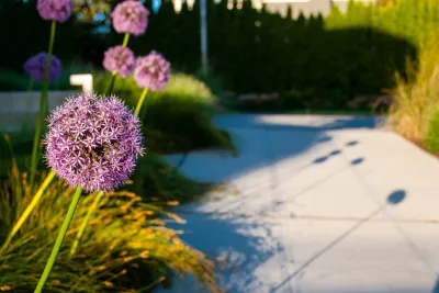 Mark S. Garff, Landscape Architect - Garden Remodeling in Seattle, WA
