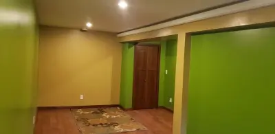Basement Renovation — Kitchen Remodeling project by Peoria Tile And Carpenters