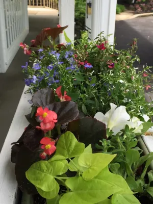 Amy's Garden Design - Garden Remodeling in Catonsville, MD