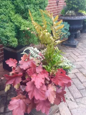 Amy's Garden Design - Garden Remodeling in Catonsville, MD