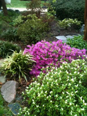 Amy's Garden Design - Garden Remodeling in Catonsville, MD