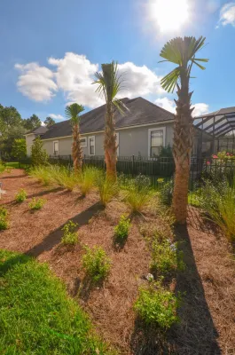 Marquis Latimer + Halback, Inc. - Landscape Design in Saint Augustine, FL