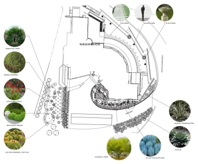 Martinelli Design - Landscape Design in San Francisco, CA
